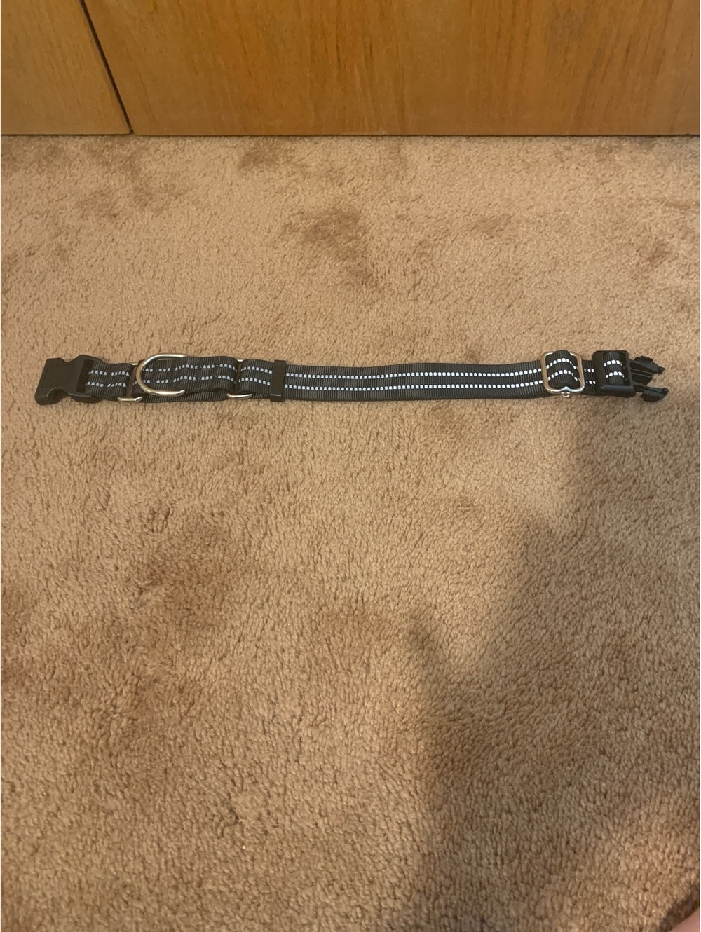 Gently used dog collar- for large dogs
